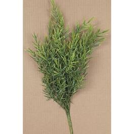BreeBe - *Dill Leaves Bush 15" - Green