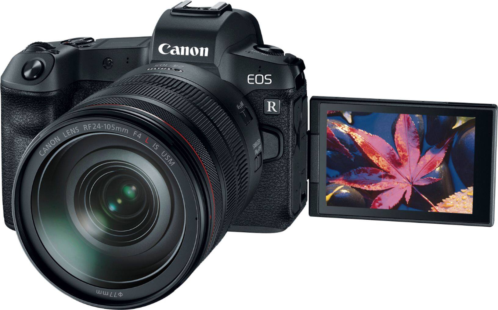 Canon Camera Best Budget Mirrorless Camera 2019 The Best Compact