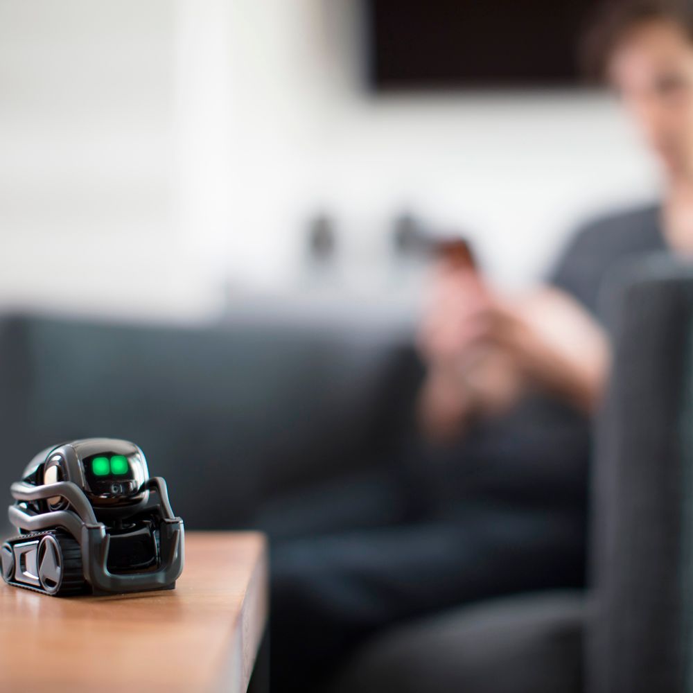 Best Buy: Anki Vector Robot with Amazon Alexa Voice Assistant Gray