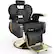 Front. Winado - Heavy Duty Reclining Barber Chair Hydraulic Salon Beauty Spa Equipment with Adjustable Headrest, Footrest for Barbershop - Black & Gold.