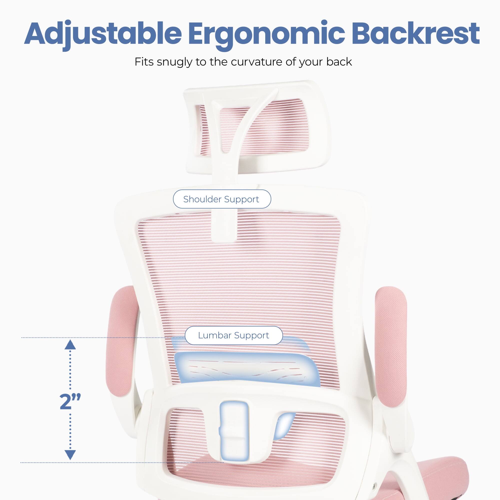 Adjustable Ergonomic Backrest  
Fits snugly to the curvature of your back  

Shoulder Support  
Lumbar Support  
2"