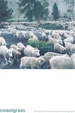 Sweetgrass - DVD