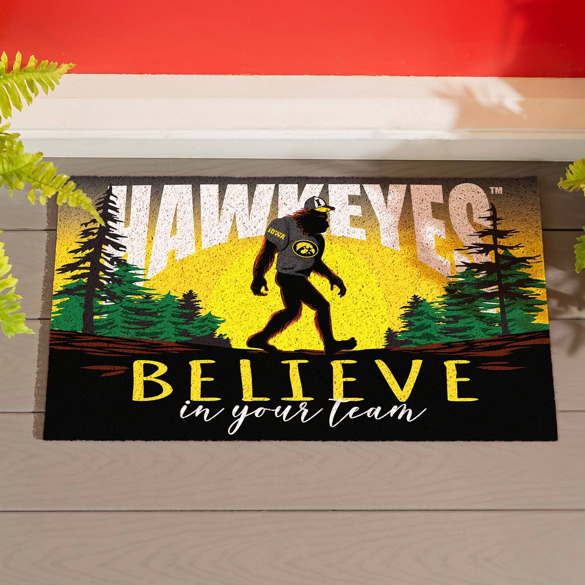 HAWKEYES™  
IOWA  
BELIEVE in your team