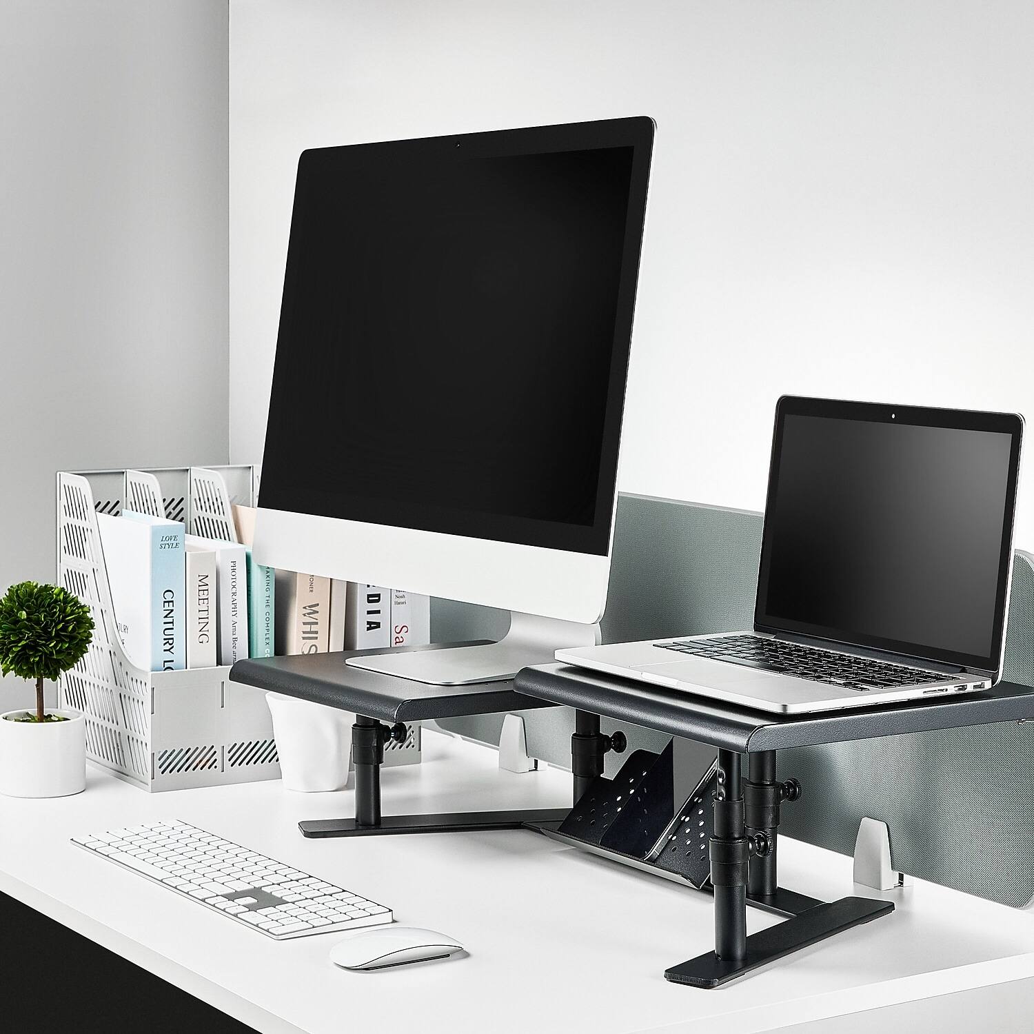 10 a CENTURY L MEETING  
EULER | WHIS  
DIA  
Sa