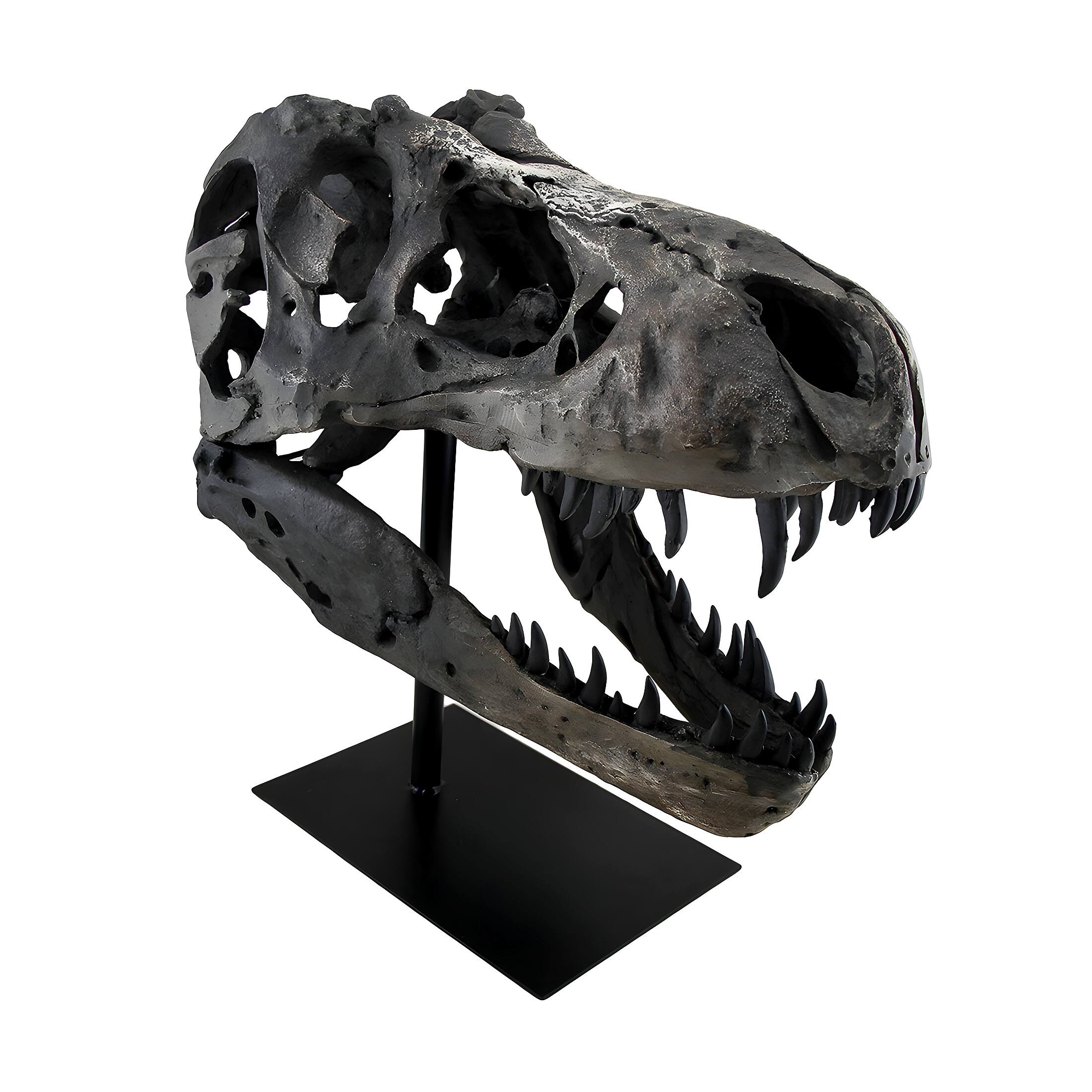 Zeckos - Finished Tyrannosaurus Rex Fossil Skull Statue On Museum Mount T-Rex - Gray