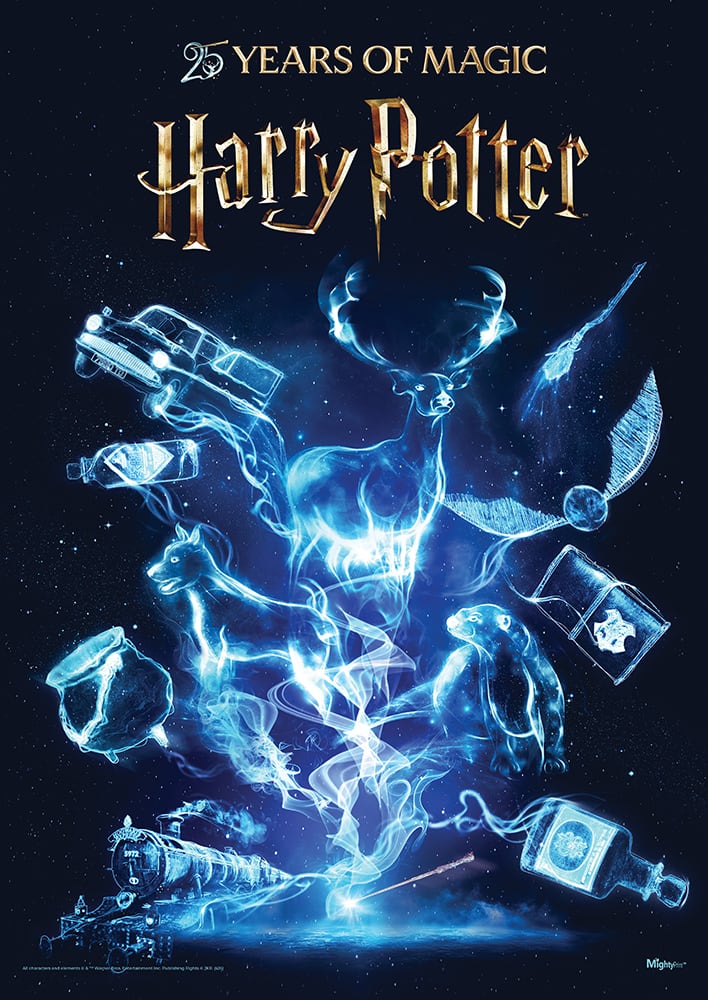 25 YEARS OF MAGIC  
Harry Potter