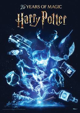 Trend Setters - Harry Potter (25 Years of Magic) MightyPrint™ Wall Art MP17241114 - Multicolor