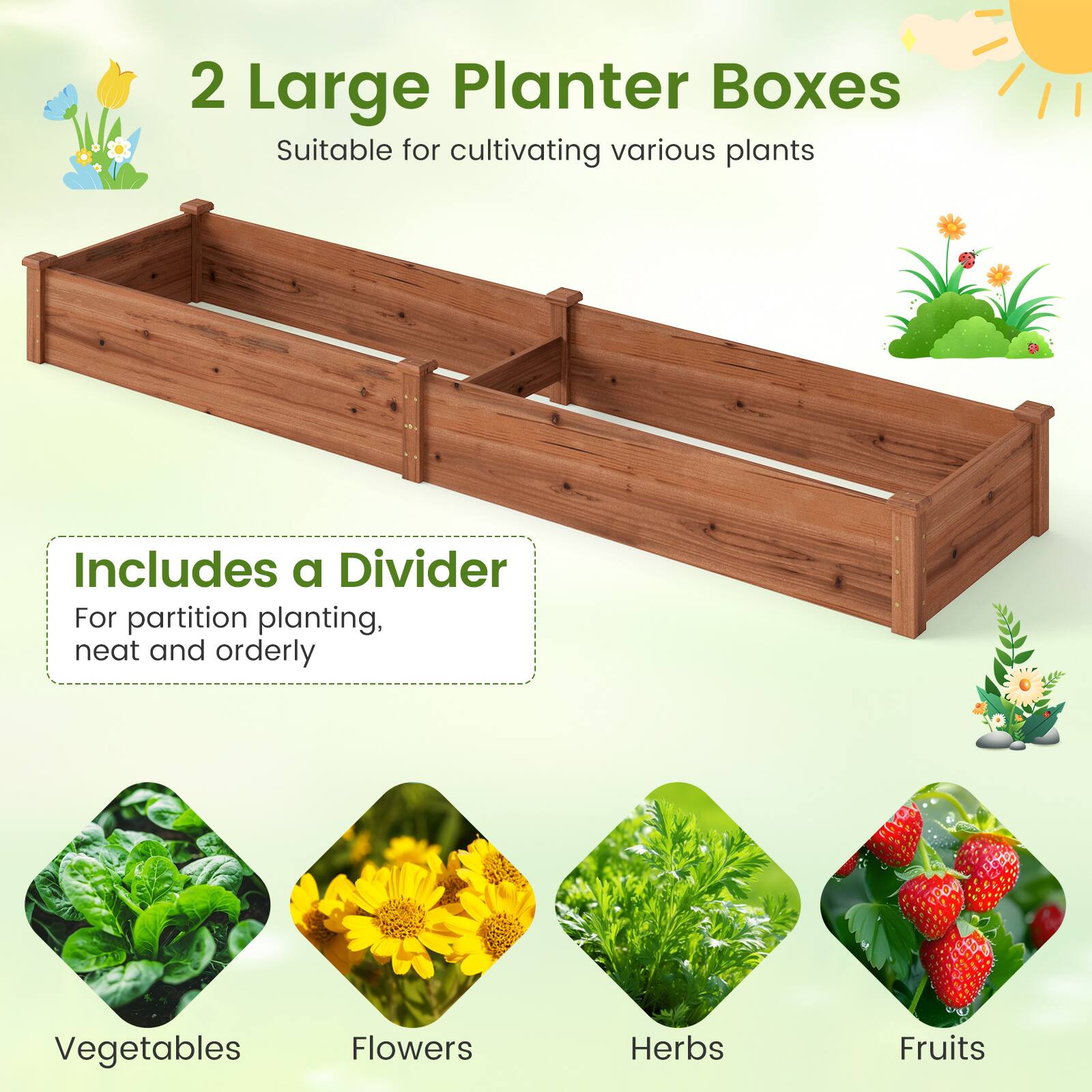 2 Large Planter Boxes  
Suitable for cultivating various plants  

Includes a Divider  
For partition planting, neat and orderly  

Vegetables  
Flowers  
Herbs  
Fruits