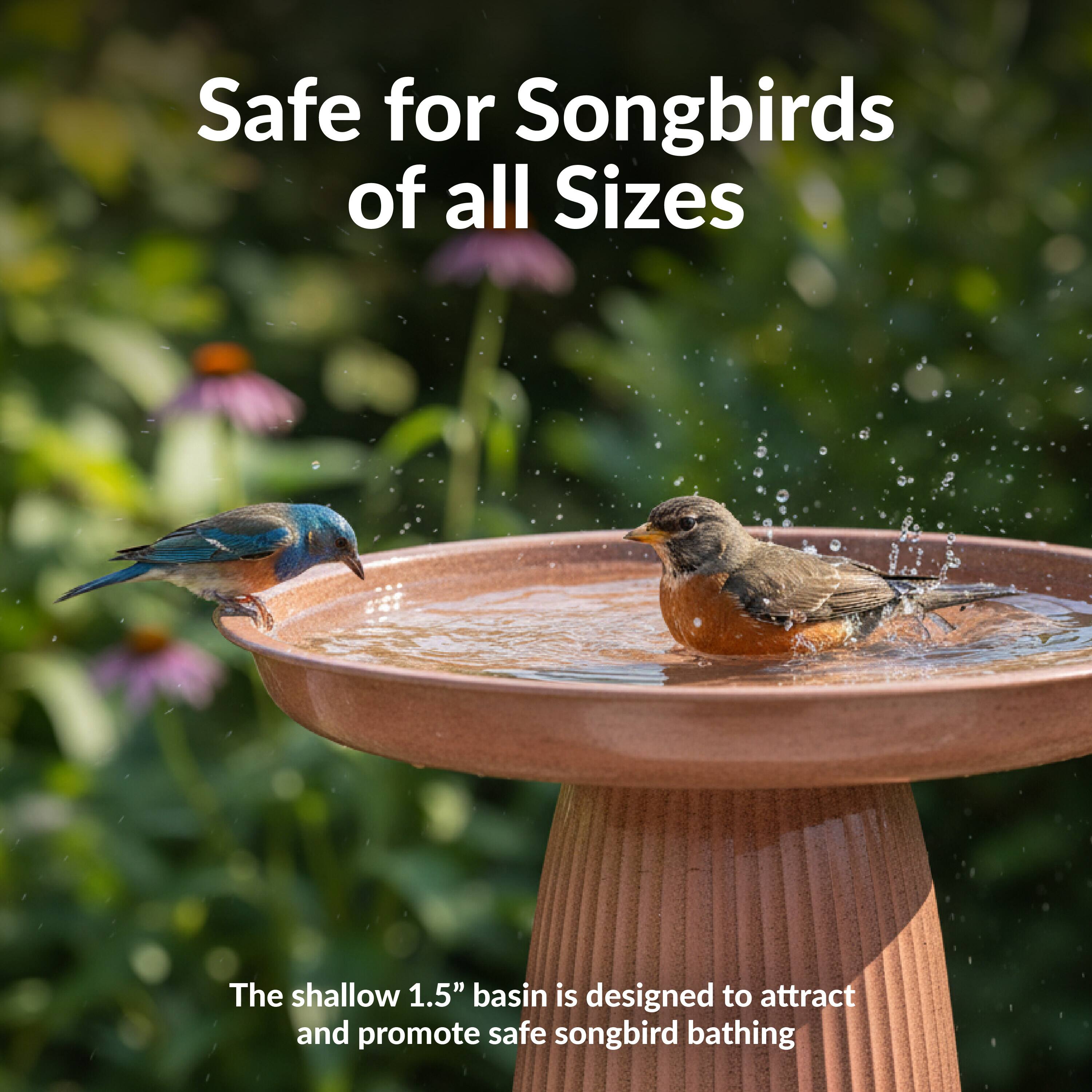 Safe for Songbirds of all Sizes

The shallow 1.5" basin is designed to attract and promote safe songbird bathing