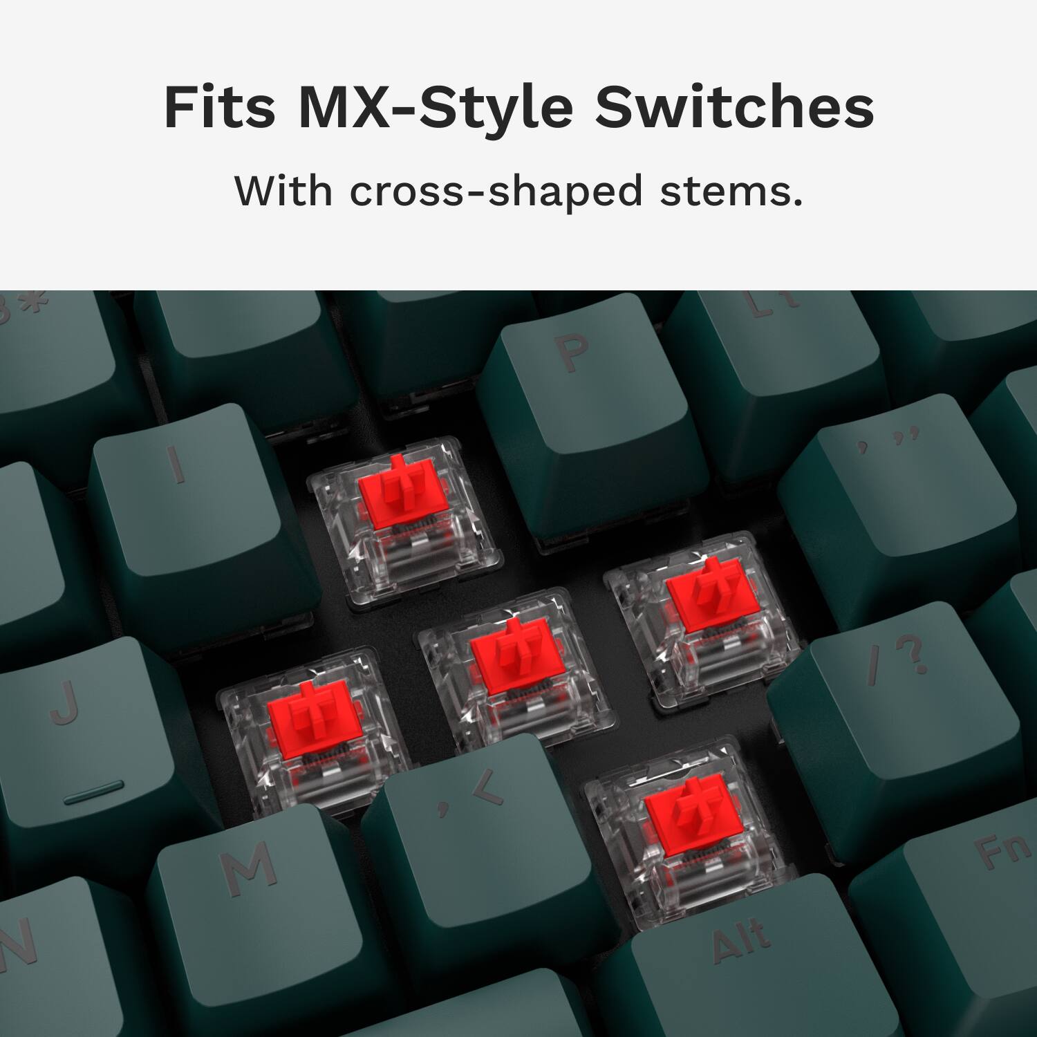 Fits MX-Style Switches with cross-shaped stems.