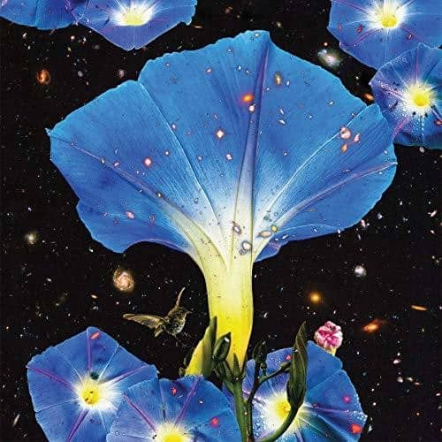 Sarah Louise - Nighttime Birds And Morning Stars   - VINYL LP price history on PriceWatchPro