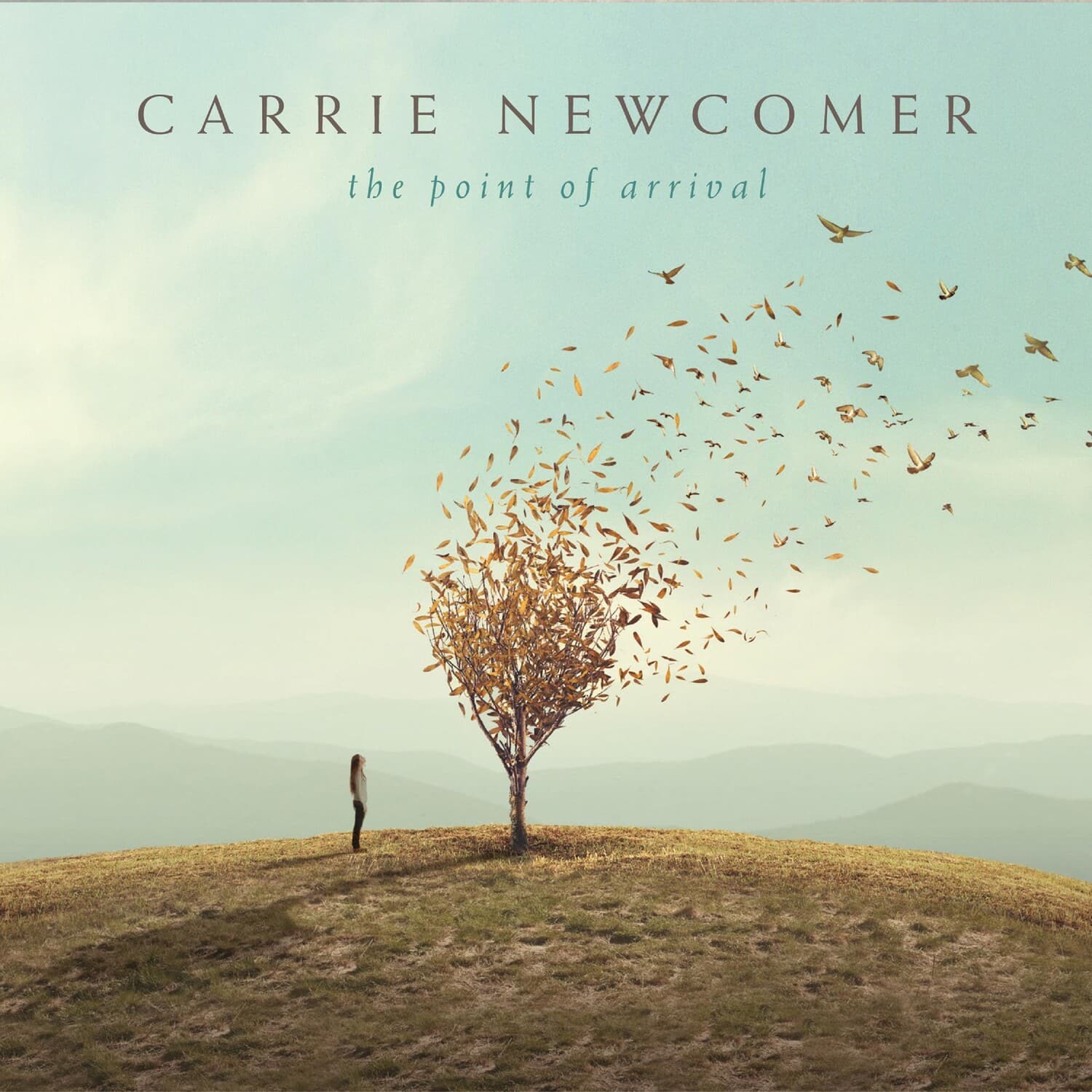 Carrie Newcomer - Point Of Arrival  - COMPACT DISCS