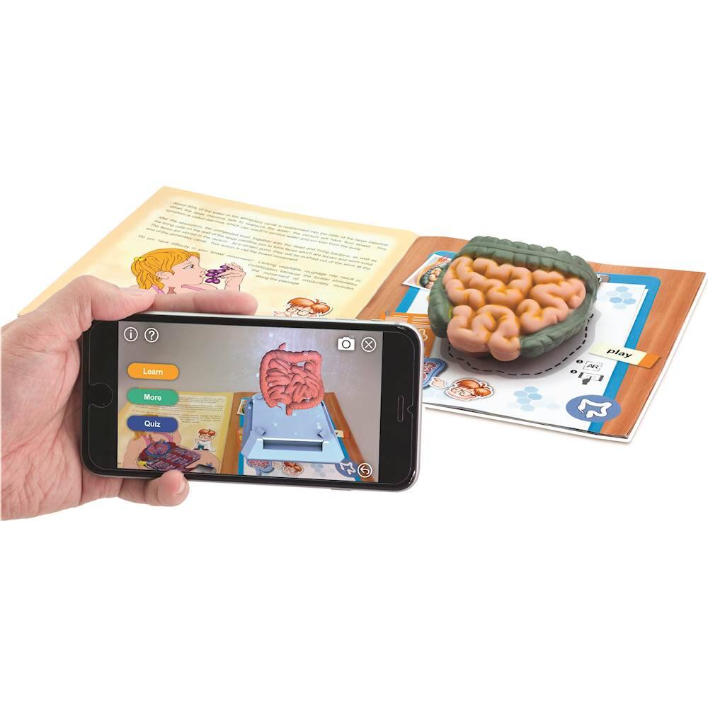 Best Buy EDUTOYS 20" Human Anatomy Model AR Edition EDU41007AR