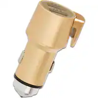 ChargeHub - V2 Vehicle Charger - Gold Dust - Front_Zoom
