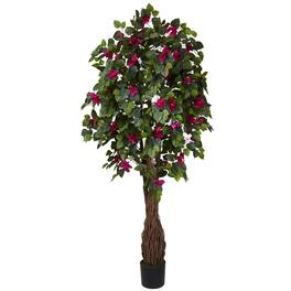 BreeBe - 6' Multi Vine Bougainvillea Tree w/990 Lvs - Green