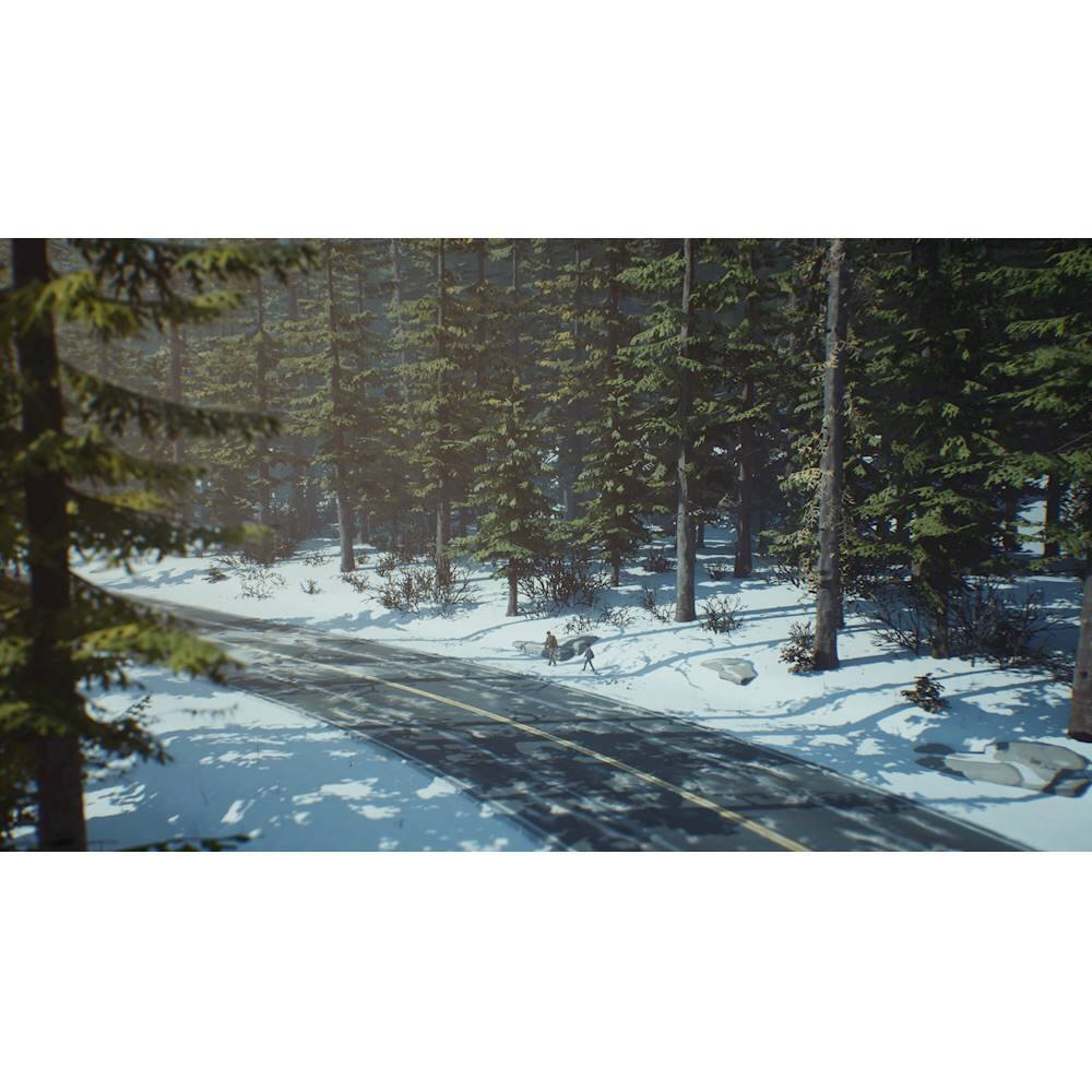 Alt View 22. Square Enix - Life is Strange 2 Complete Season.