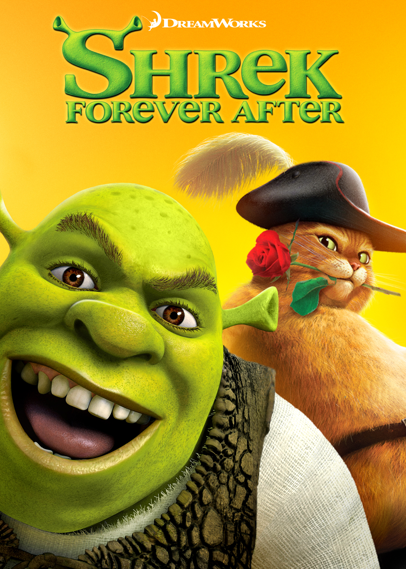 Shrek Forever After [DVD] [2010]