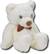 Angle Standard. JJ Communication - 2.4GHz Wireless Child-Proof Teddy Bear Camera - White.