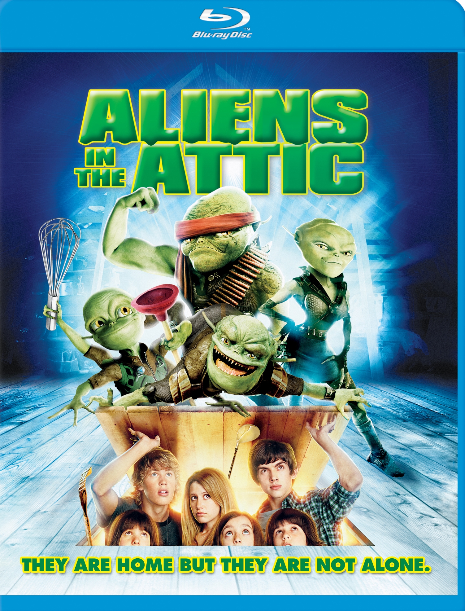 Aliens in the Attic [Blu-ray] [2009]