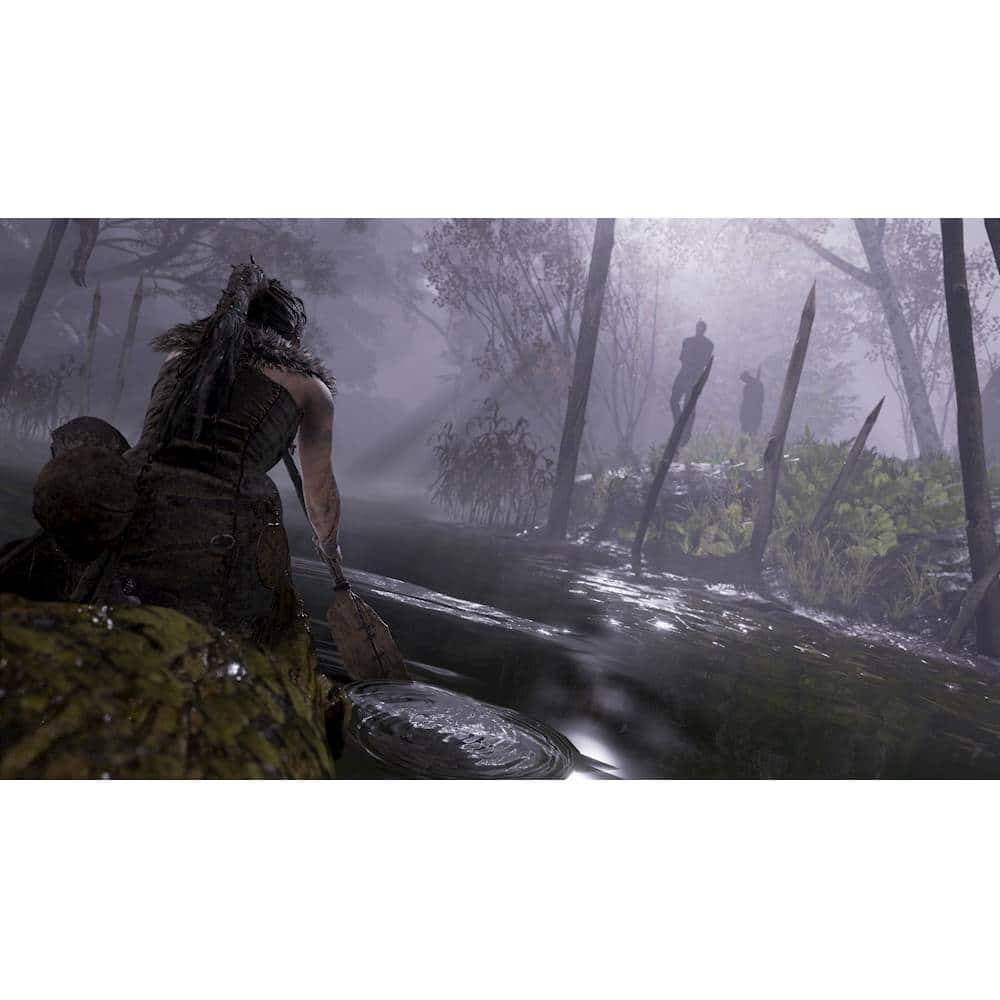 Hellblade: Senua's Sacrifice Box Shot for PlayStation 4 - GameFAQs