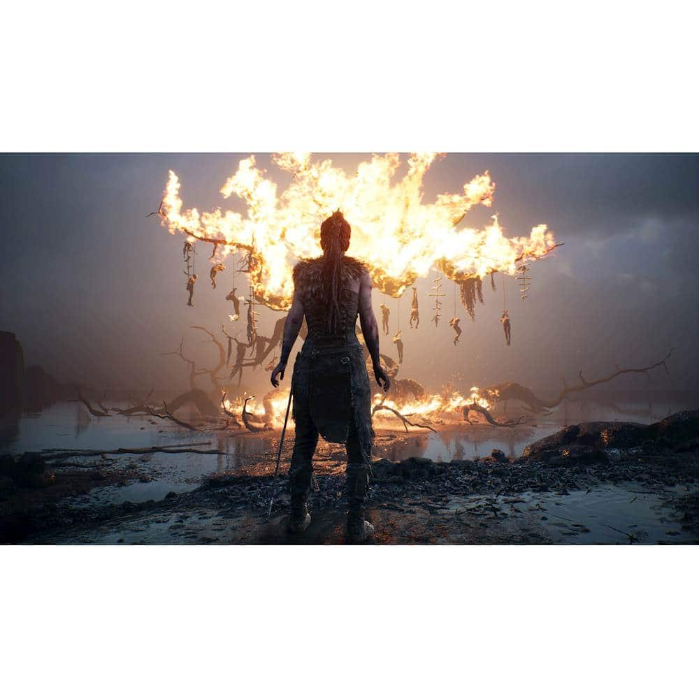 Hellblade: Senua's Sacrifice Download Size Revealed (14.21 GB) : r/PS4