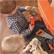 Alt View 17. Step2 - Handyman Workbench Play Set - Orange.