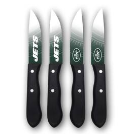 Woodrow - 4-Piece Stainless Steel Steak Knife Set - Multicolor