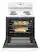 Alt View 1. Amana - 4.8 Cu. Ft. Freestanding Electric Range - White.