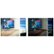 Alt View Zoom 17. BenQ - EX3203R 32 inch 144Hz Curved Gaming Monitor | WQHD (2560 x 1440) | FreeSync 2 | DisplayHDR 400 (31.5" Display) - Gray.
