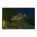 Alt View 17. Planet Entertainment - Bass Pro Shops The Strike: Bundle.
