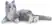 Alt View 24. Joy for All - Companion Pet Cat - Silver With White Mitts.