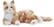 Angle. Joy for All - Companion Pet Cat - Orange Tabby.
