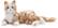Alt View 14. Joy for All - Companion Pet Cat - Orange Tabby.