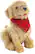 Front. Joy for All - Companion Pet Pup - Golden.