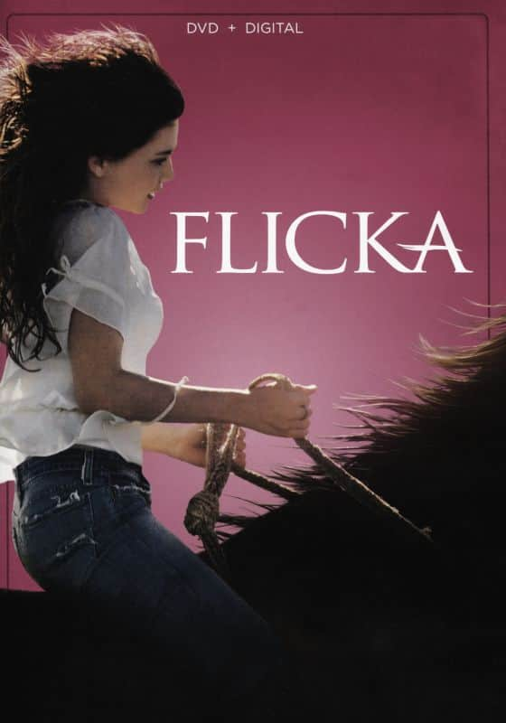 UPC 024543488873 product image for Flicka [DVD] [2006] | upcitemdb.com