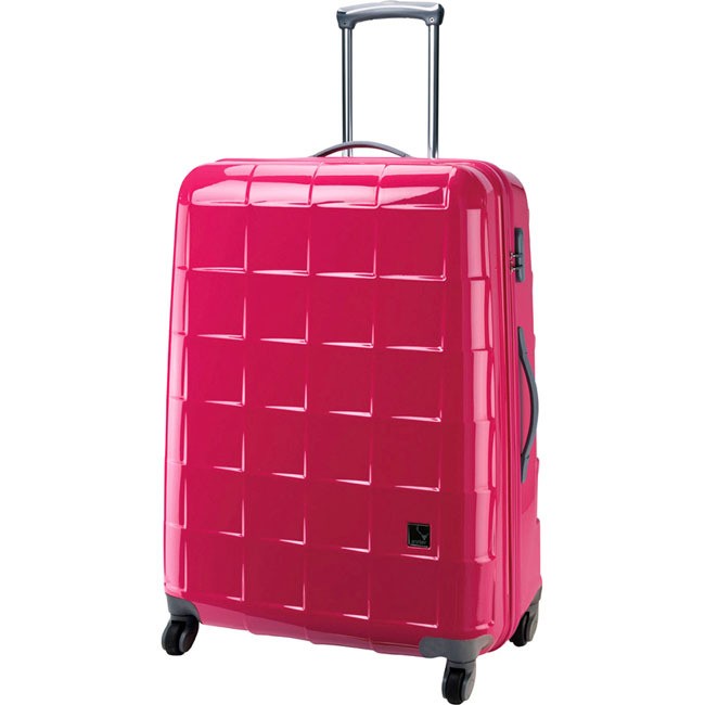 Red/Pink Travel Luggage