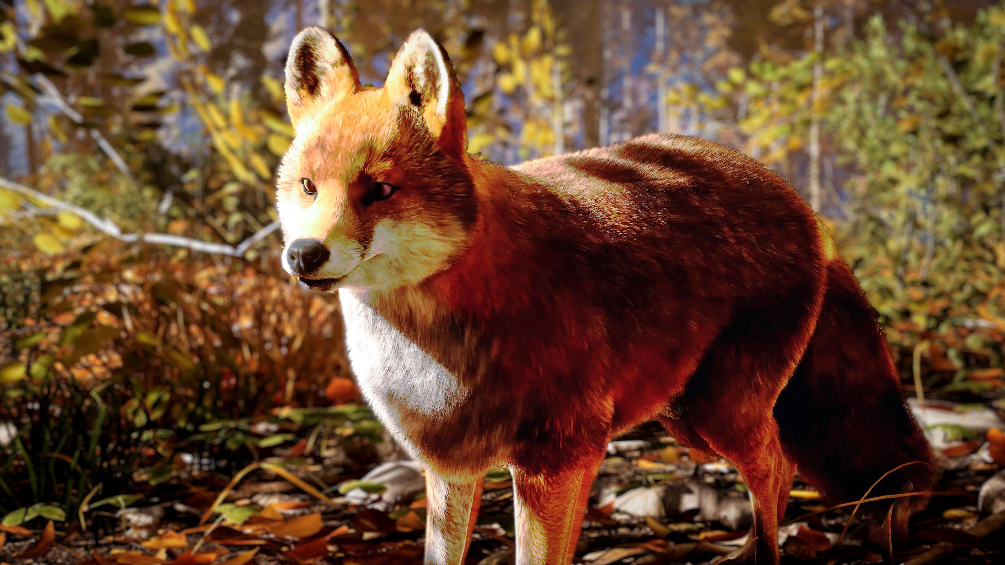 Alt View 13. Solutions 2 Go - Hunting Simulator 3 for Playstation 5.