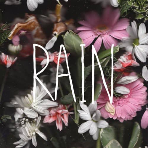 Goodtime Boys - Rain   - VINYL LP price history on PriceWatchPro