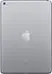 Space Gray