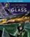 Front Standard. Glass [Includes Digital Copy] [Blu-ray/DVD] [2019].