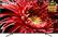 Front. Sony - 85" Class - LED - X850G Series - 2160p - Smart - 4K UHD TV with HDR.