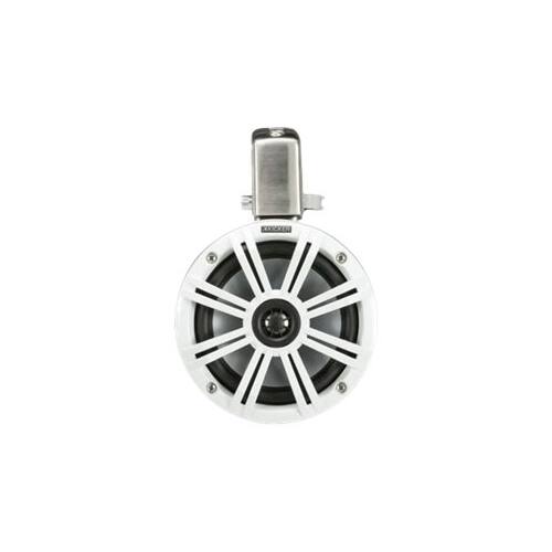 Best buy online marine speakers