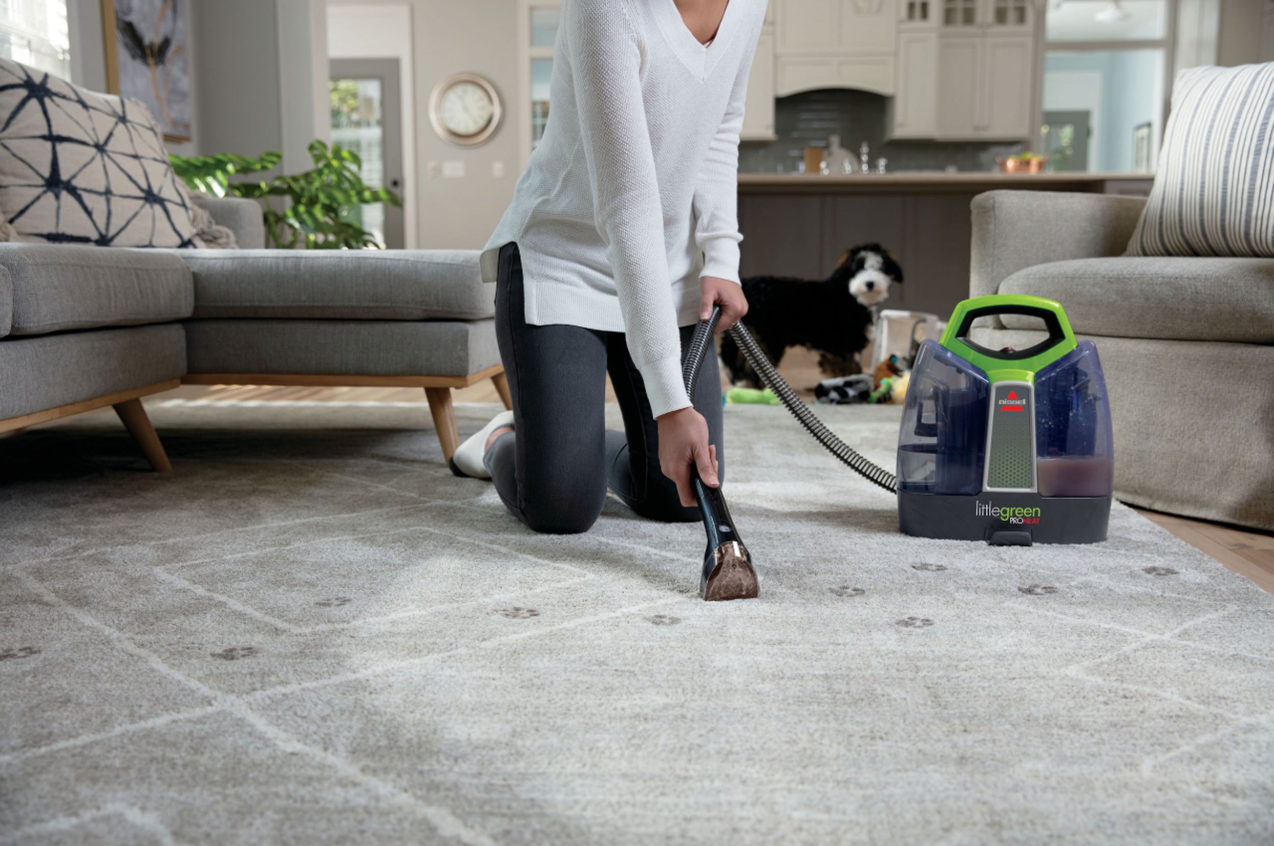 Bissell Little Green ProHeat Portable Carpet Cleaner Machine - McCabe Do it  Center