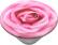 Alt View 14. PopSockets - PopGrip - Rose All Day.