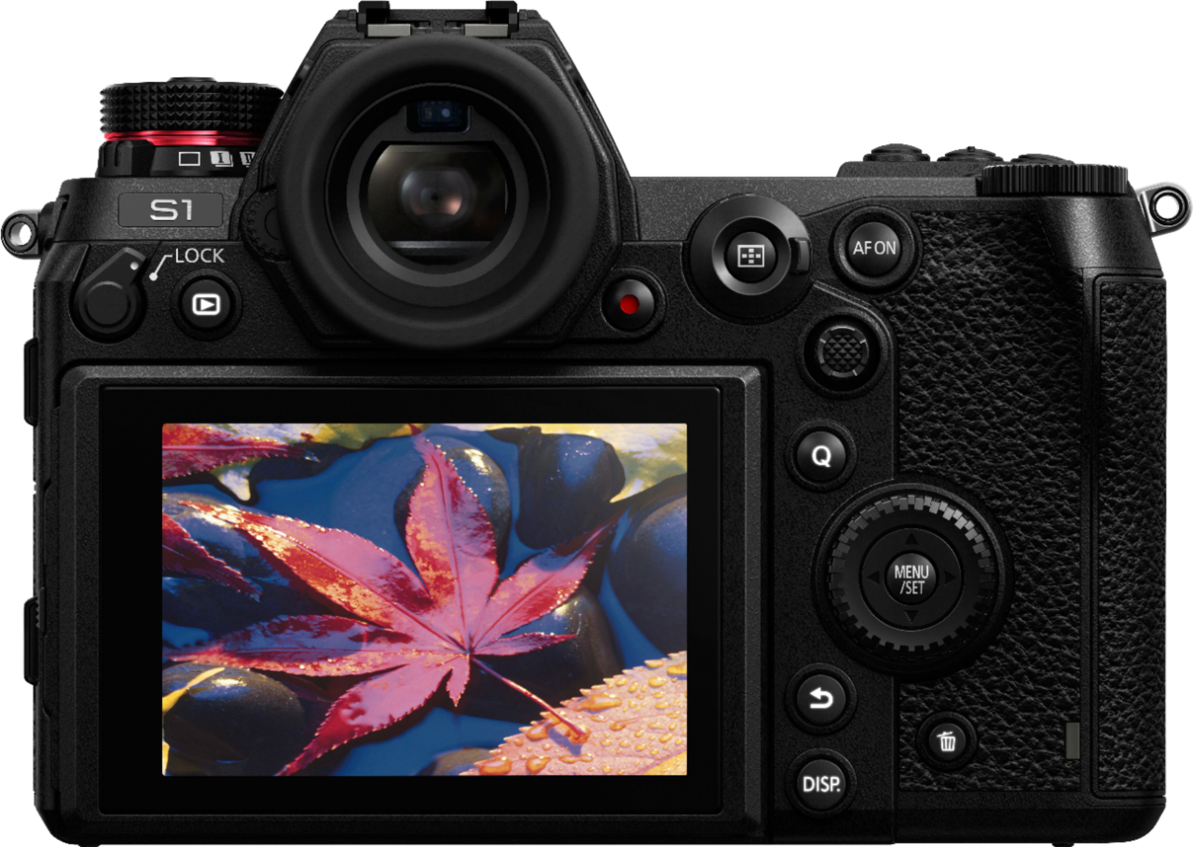 Back View: Panasonic - LUMIX S1 Mirrorless Full-Frame 4K Photo Digital Camera (Body Only)