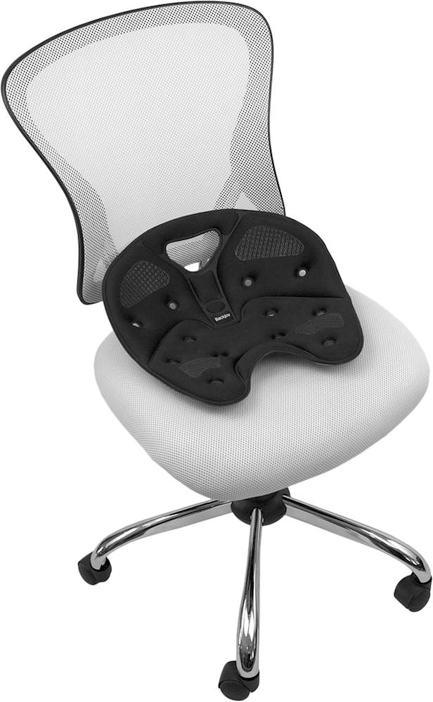 Backjoy Sit Smart Lower Back Support Cushion, costs $50 at stores.