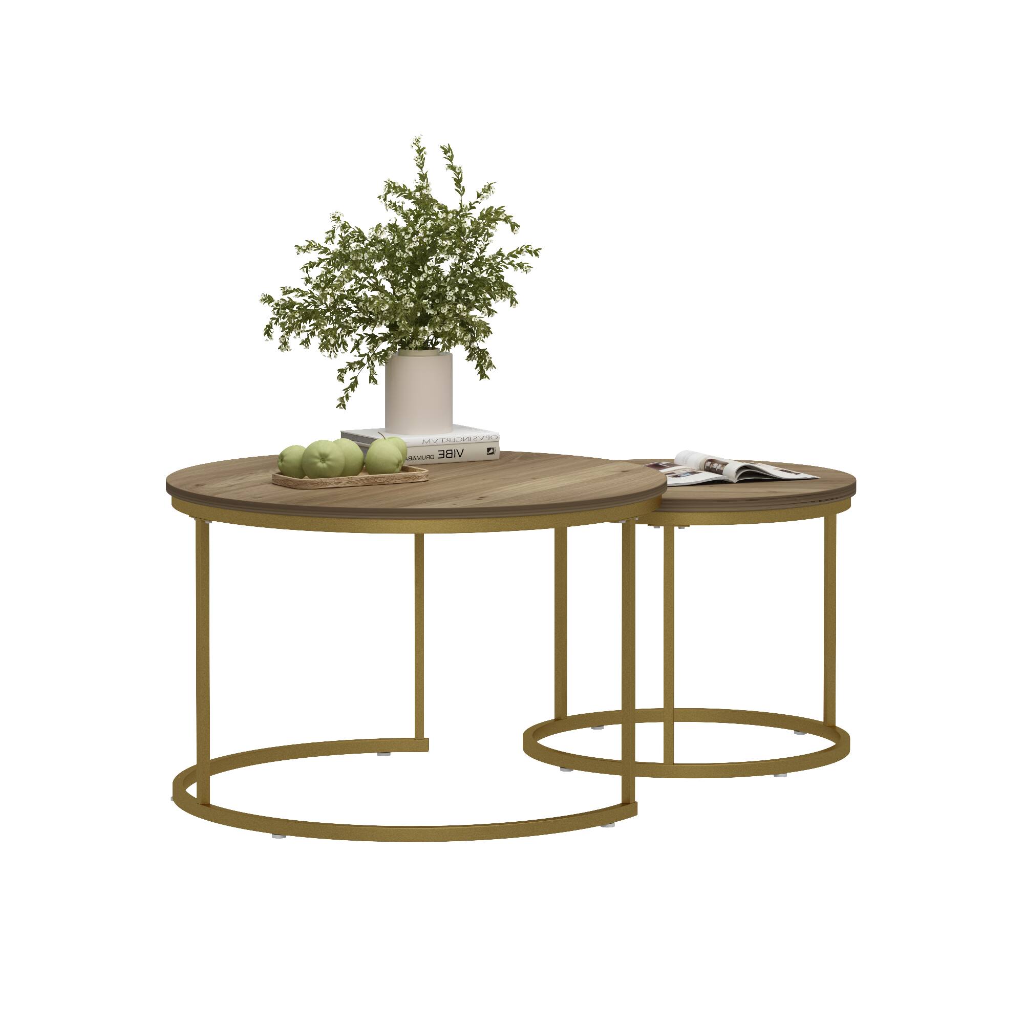 NOTRE VIE LAYS VIBE (20.5kg)