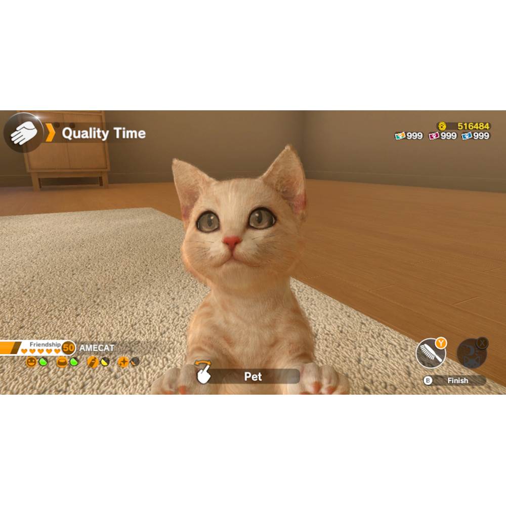 pet games for switch