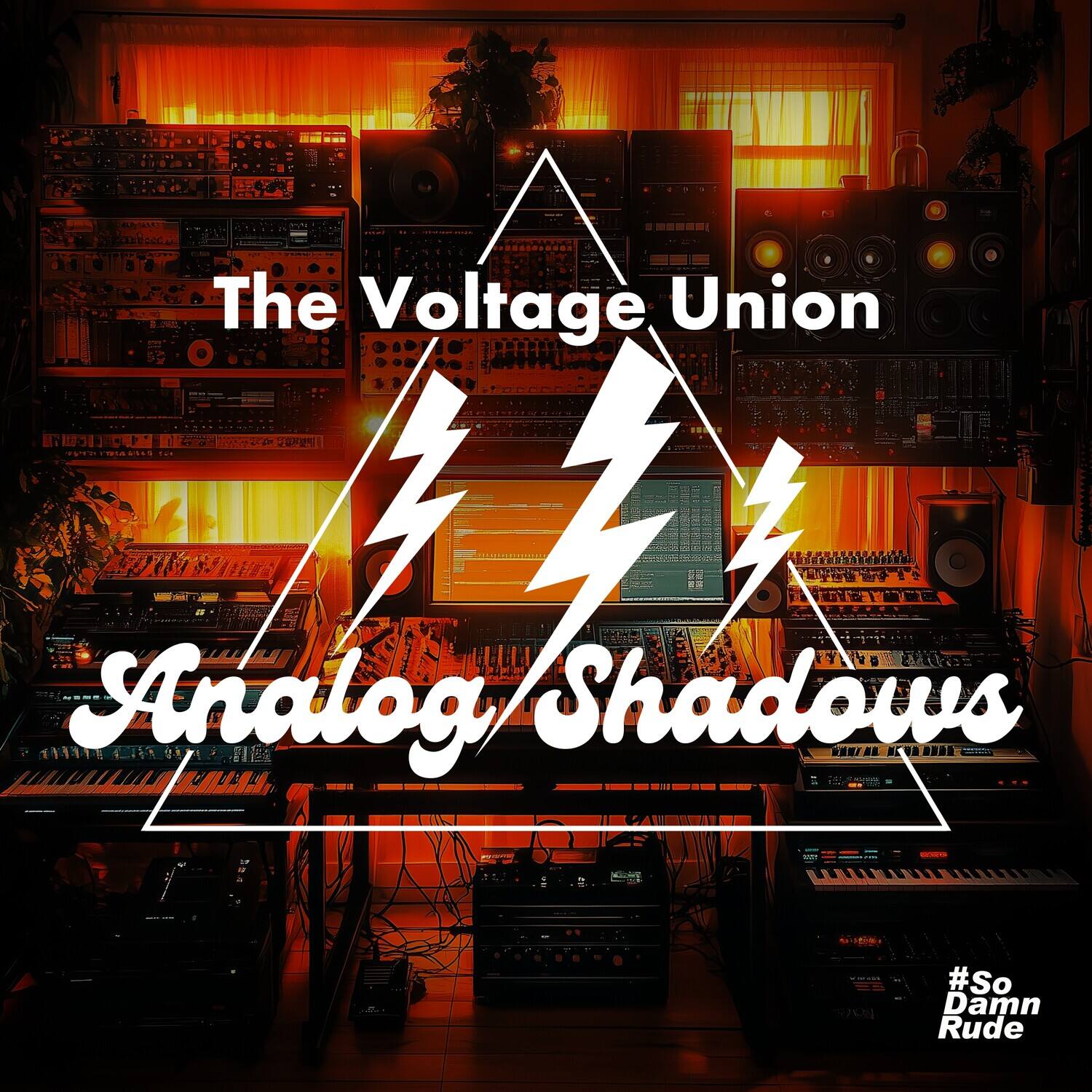 The Voltage Union  
Analog Shadows  
#So Damn Rude