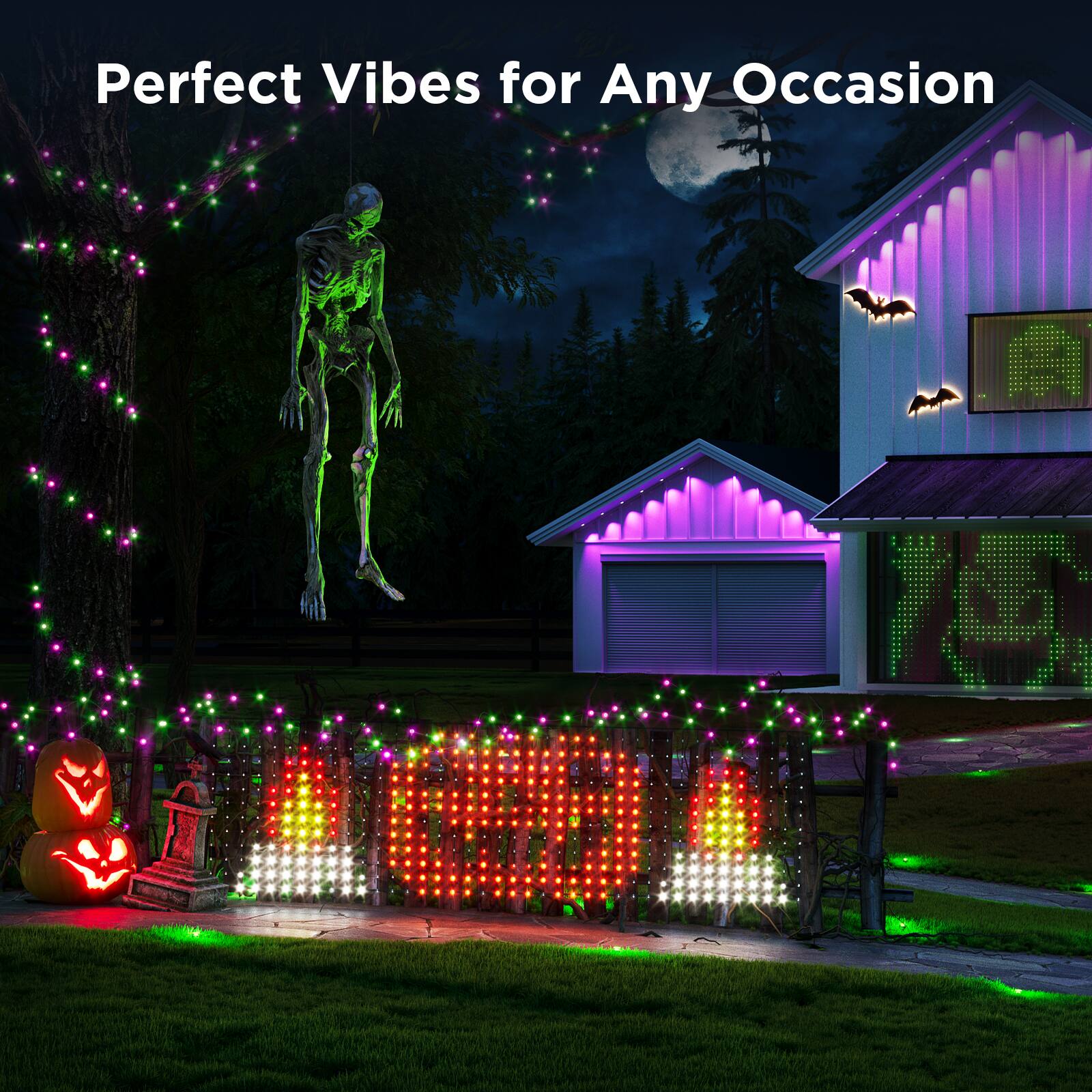 Perfect Vibes for Any Occasion